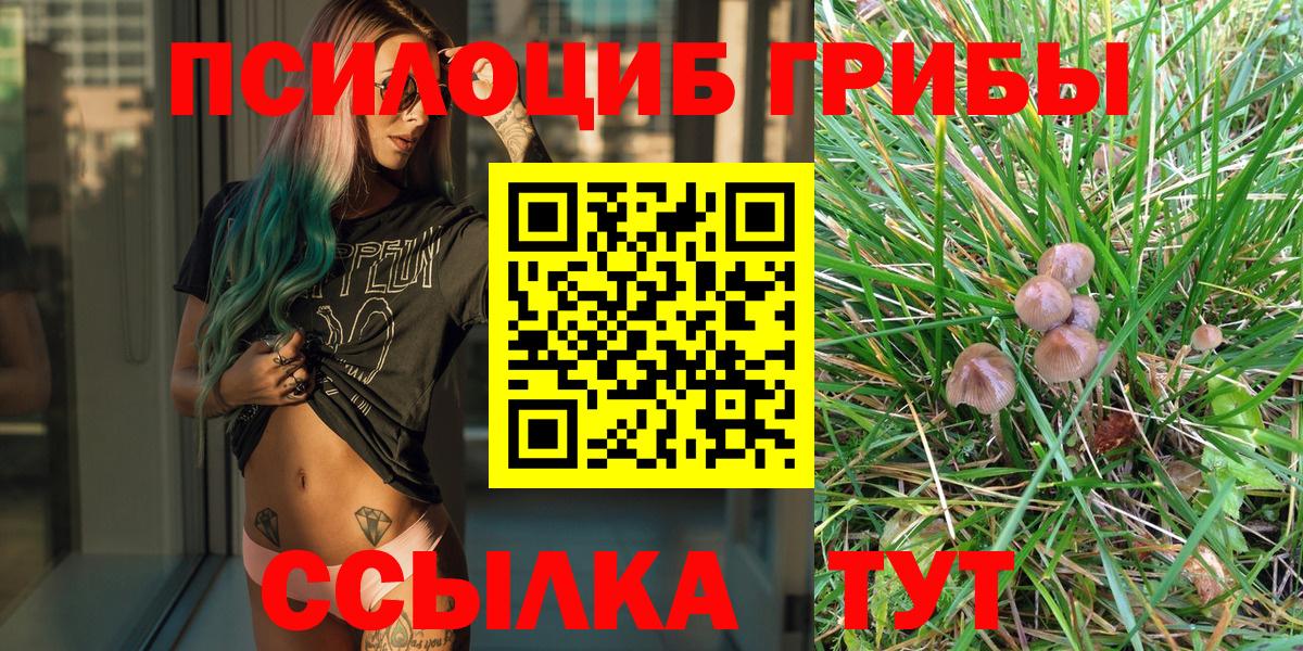 Псилоцибиновые грибы Magic Shrooms Ступино